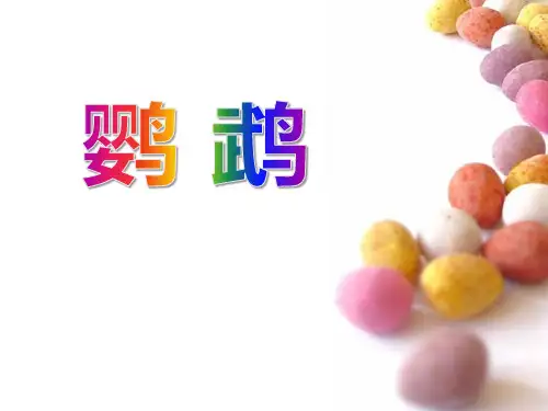 《鹦鹉》2精品 课件 