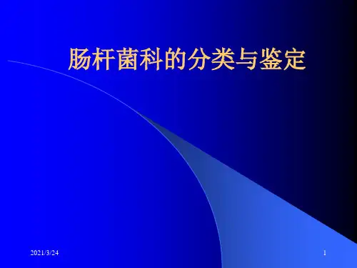 肠杆菌科的分类与鉴定