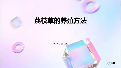 荔枝草的养殖方法