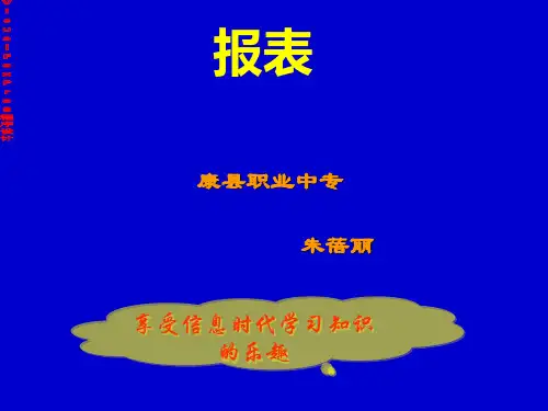 VF_报表