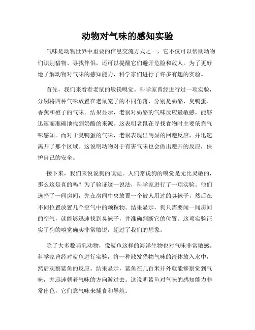 动物对气味的感知实验