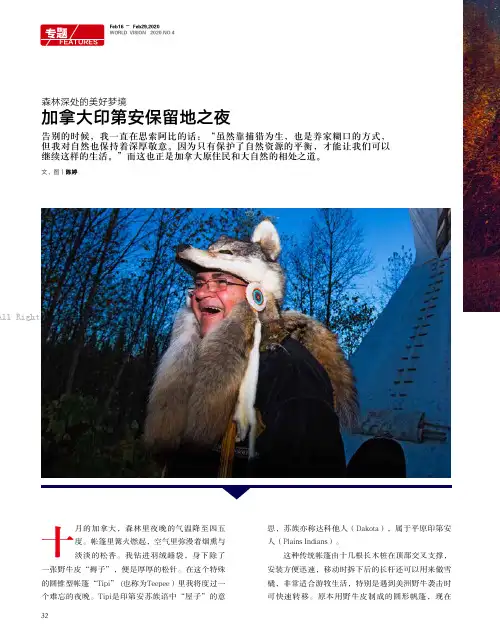 20920482_加拿大印第安保留地之夜_