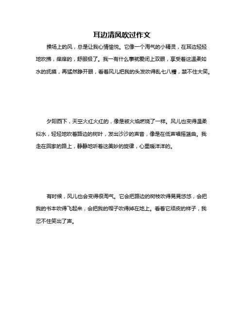 耳边清风吹过作文