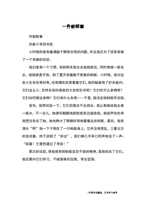 一件新鲜事_小学三四年级记事