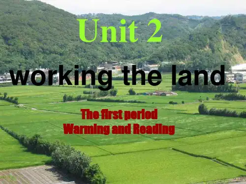 Unit2_Working_thelandReading[阅读]PPT课件