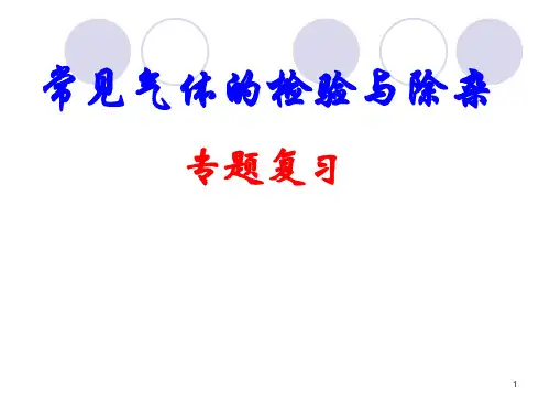 初中中学化学《常见气体的检验与除杂》专题复习