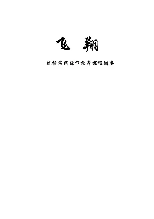 《飞翔》课程纲要