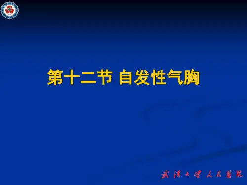 自发性气胸的护理ppt课件