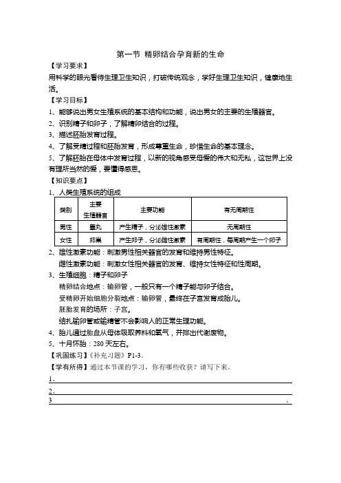 生物：8.1《精卵结合孕育新的生命》导学案(苏教版七年级下)
