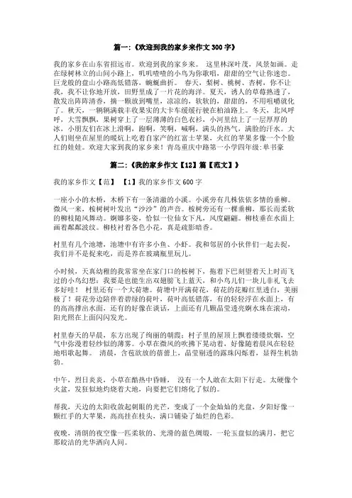 欢迎你来我的家乡作文