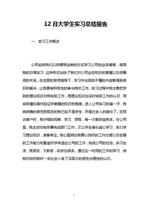 12月大学生实习总结报告