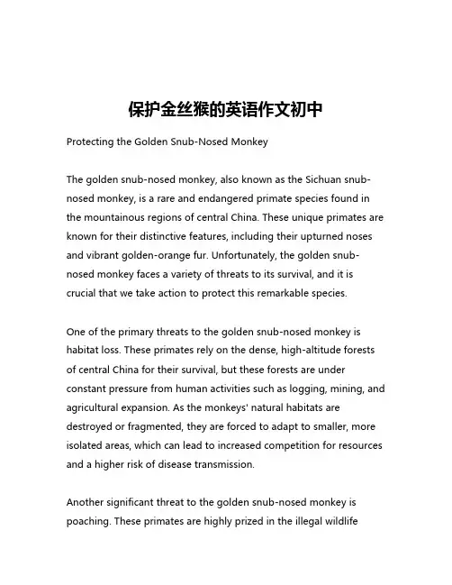 保护金丝猴的英语作文初中
