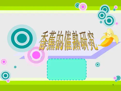科学小实验ppt课件