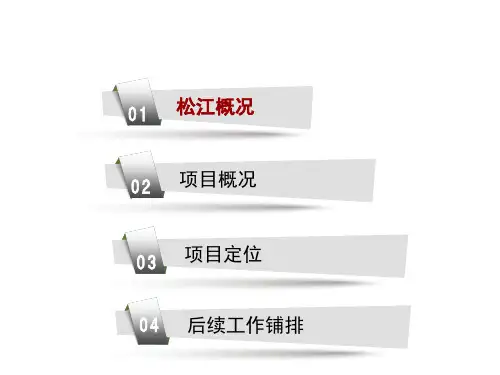 上海松江工业地块市场报告