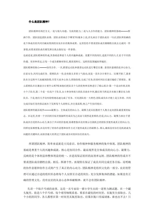什么是团队精神