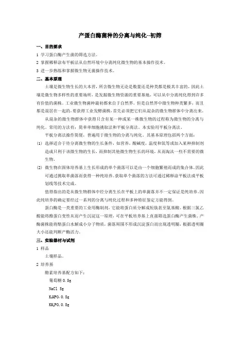 北京理工大学生物实验产蛋白酶菌种的分离与纯化