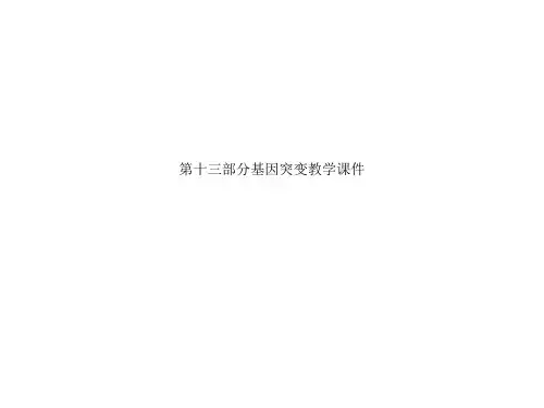 第十三部分基因突变教学课件