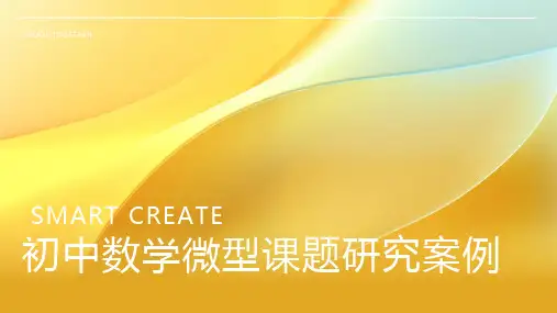 初中数学微型课题研究案例