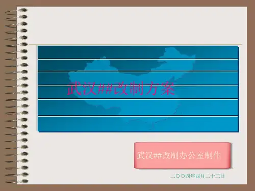 武汉国有企业改制方案