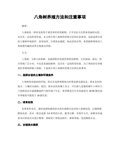 八角树养殖方法和注意事项