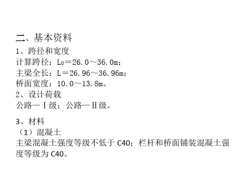 桥梁工程设计指导