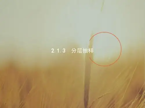 2017-2018学年高中数学人教B版必修3课件：2-1-3-2-1-4