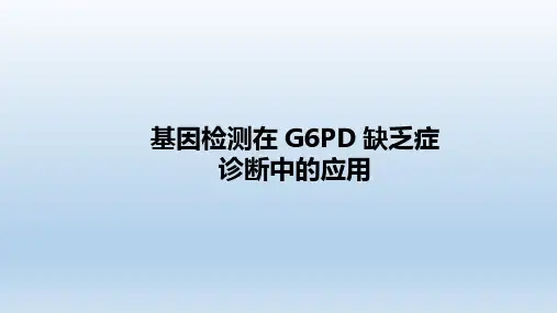 G6PD 缺乏症的临床及分子诊断