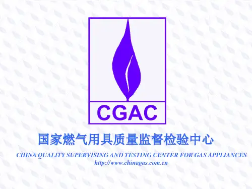 壁挂炉标准修改版