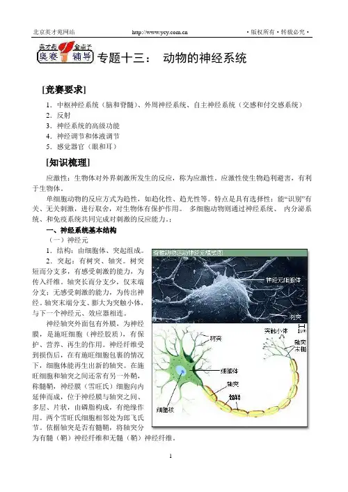 专题十三： 动物的神经系统