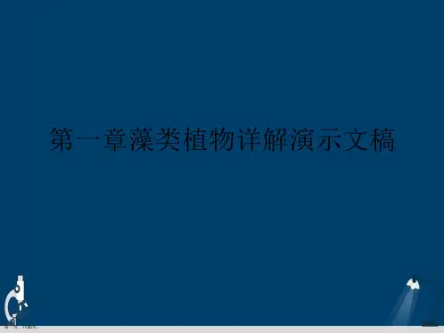 第一章藻类植物详解演示文稿