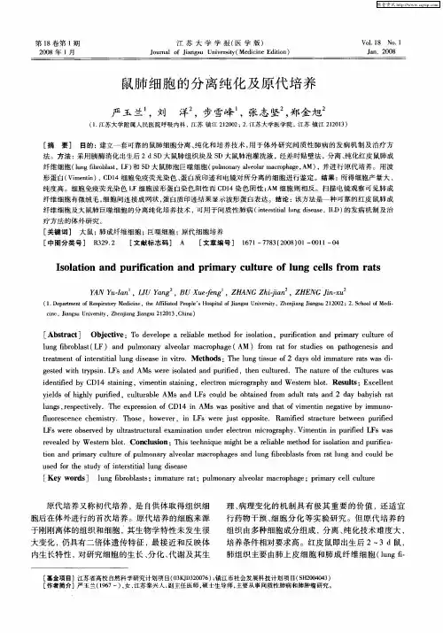 鼠肺细胞的分离纯化及原代培养