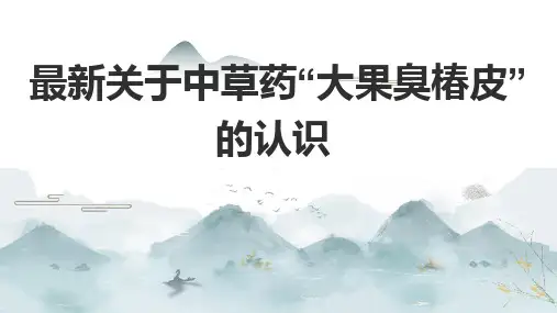 最新关于中草药“大果臭椿皮”的认识