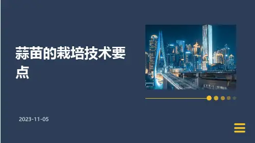 蒜苗的栽培技术要点.
