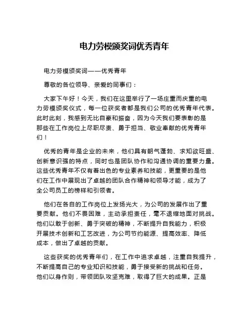 电力劳模颁奖词优秀青年