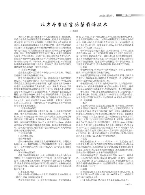 北方冬季温室蒜苗栽培技术