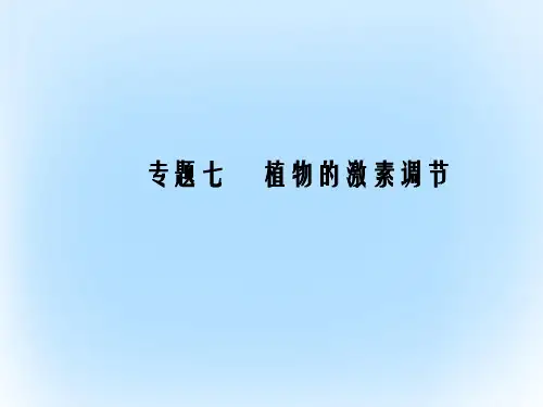 高考生物二轮复习 专题辅导与训练 第一部分 专题整合篇 专题七 植物的激素调节课件