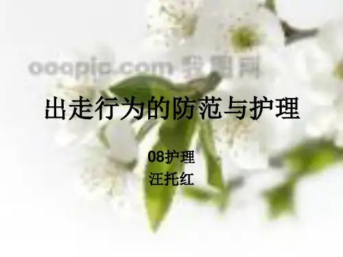 出走行为的防范与护理