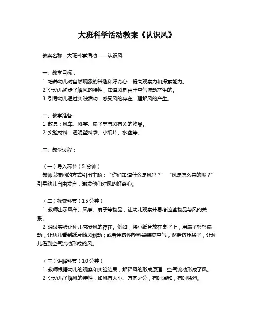 大班科学活动教案《认识风》