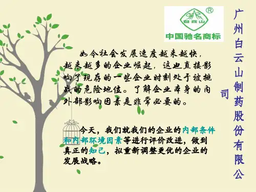 白云山制药内部因素分析矩阵。。。。