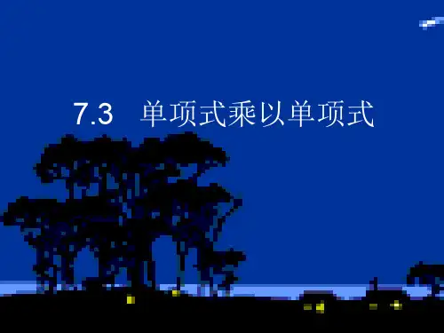 7.3   单项式乘以单项式