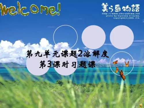 第九单元__课题2__溶解度__第3课时习题课(23张幻灯片)