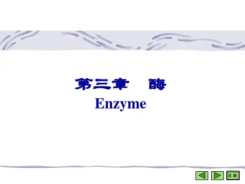 生物化学与分子生物学：chap03 酶 2