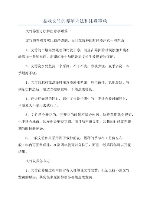 盆栽文竹的养殖方法和注意事项