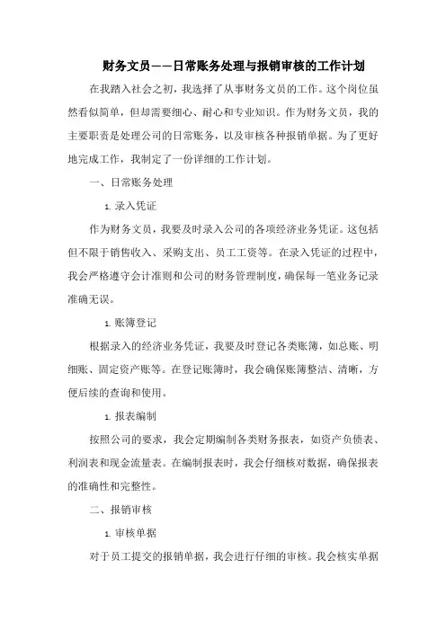 财务文员——日常账务处理与报销审核的工作计划