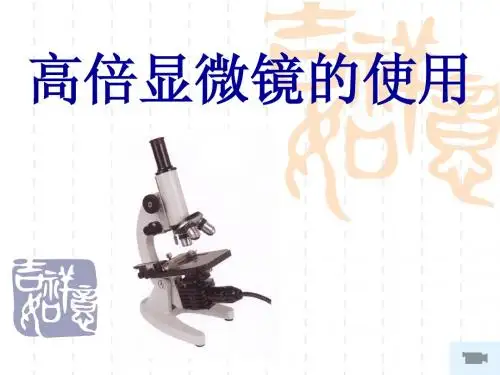 显微镜的使用