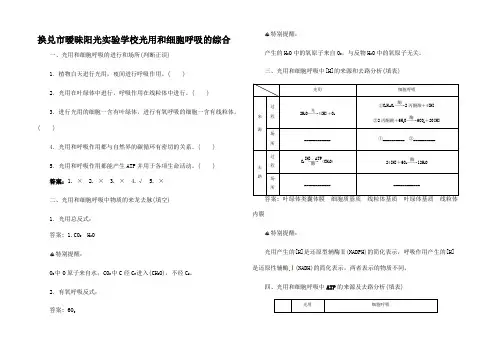 高三生物第一轮细致复习典型题光合作用和细胞呼吸的综合试题(含解析)