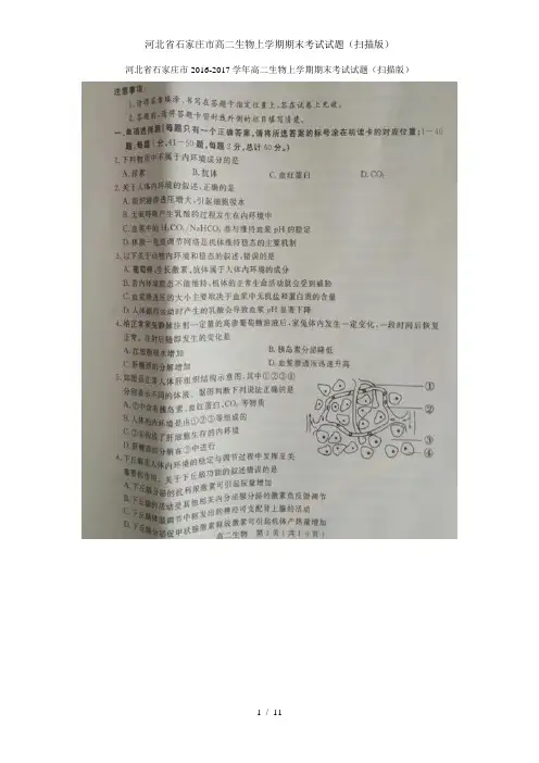 河北省石家庄市高二生物上学期期末考试试题(扫描版)
