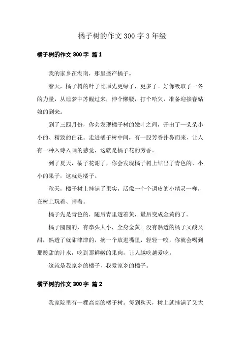 橘子树的作文300字3年级