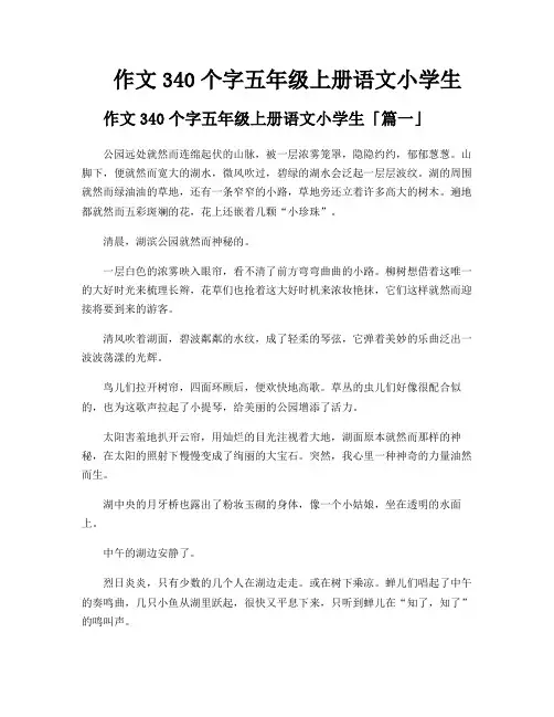 作文340个字五年级上册语文小学生