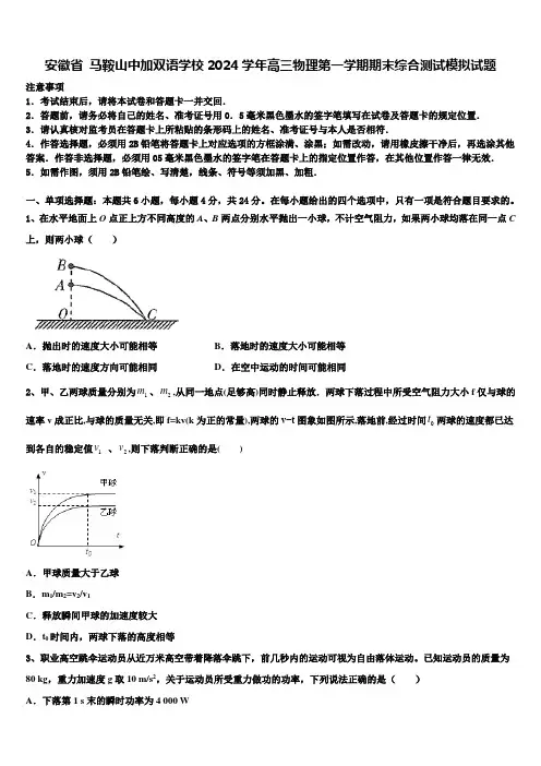 安徽省 马鞍山中加双语学校2024学年高三物理第一学期期末综合测试模拟试题含解析